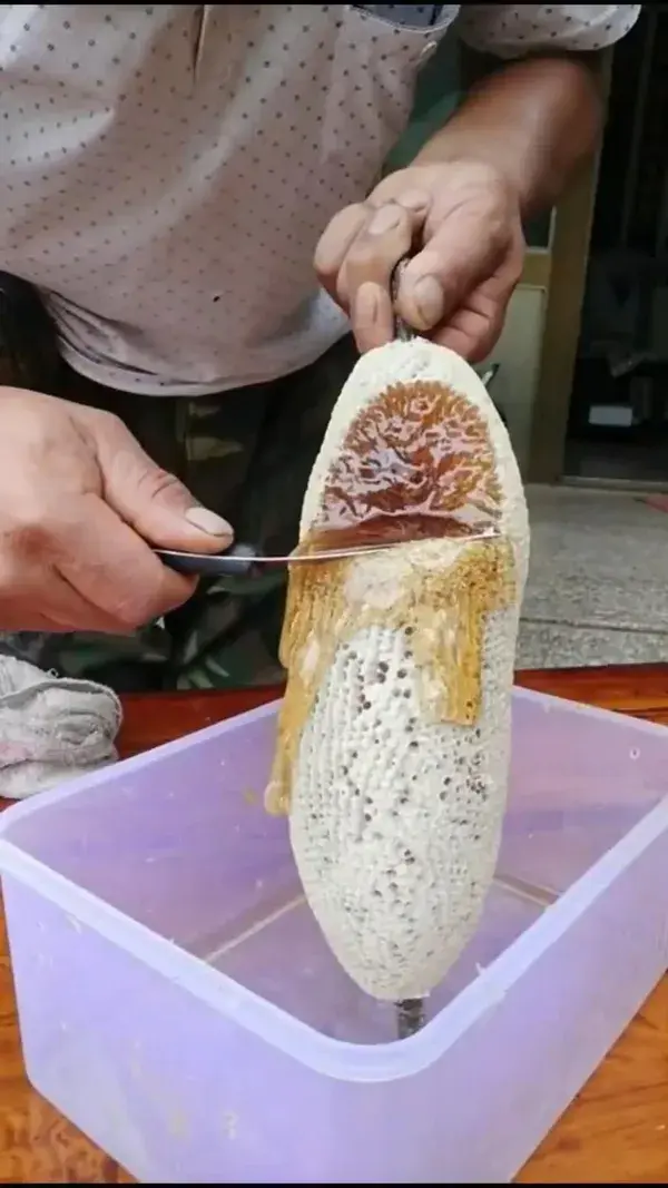 Honeycomb Satisfying Video