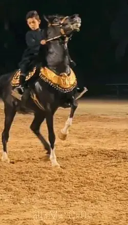 Very attractive Arabic horse dance
رقصة حصان عربي جذابة جدا