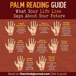 Basic Palmistry: What Your Life Line Says About You