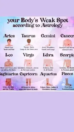 Zodiac Signs Weeks Spots On Bodies