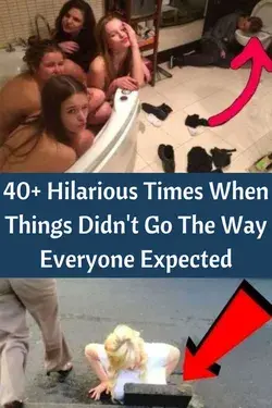 40+ Hilarious Times When Things Didn't Go The Way Everyone Expected