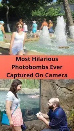 Most Hilarious Photobombs Ever Captured On Camera