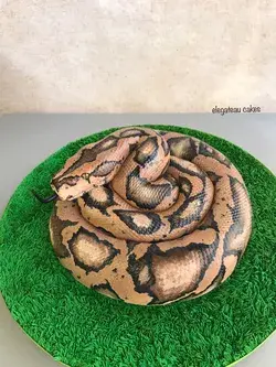 Snake cake