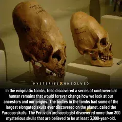 DNA tests reveal that Paracas skulls are not human