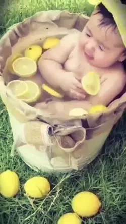 🍋💛🍋