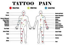 Tattoo pain chart