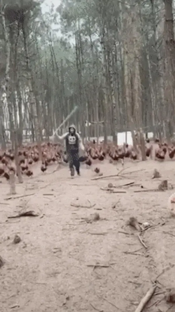 Charge my Chicken Legion!