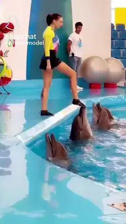 Aahhh 🐬🤩