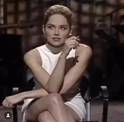 Sharon Stone is a whole mood!