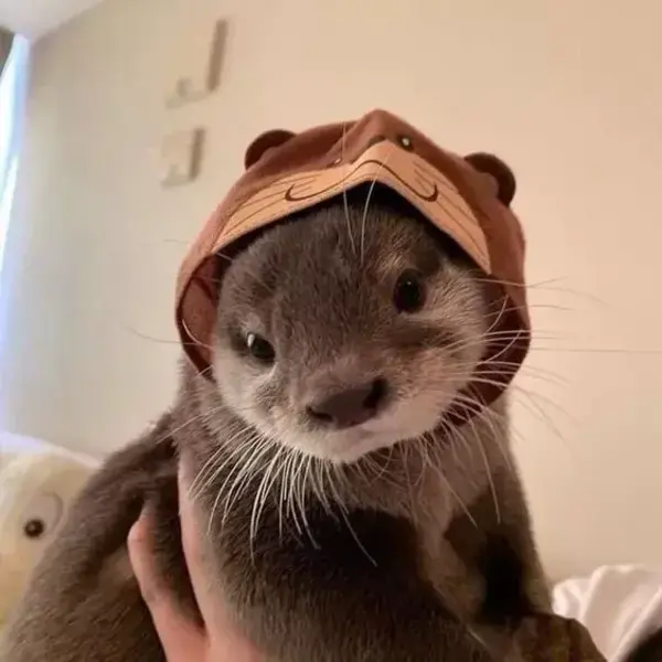 otter