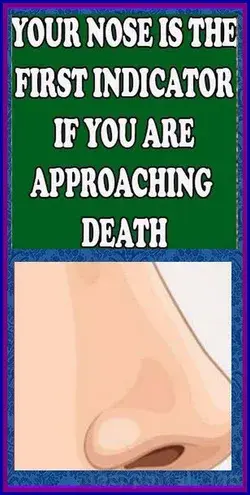 YOUR NOSE IS THE FIRST INDICATOR IF YOU ARE APPROACHING DEATH