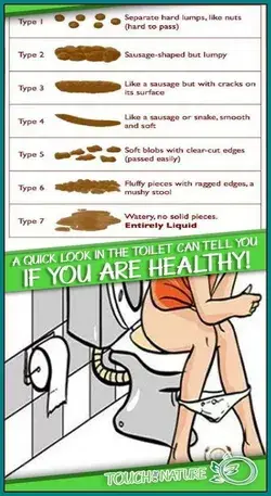 A Quick Look In The Toilet Can Tell You If You?re Healthy!