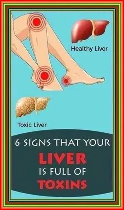 6 Signs That Your Liver  | Smore Newsletters
