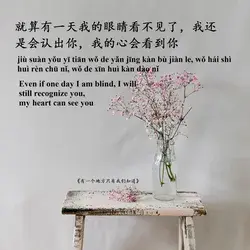 Chinese quote