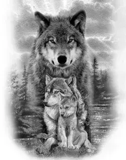 Wolf photo design and art