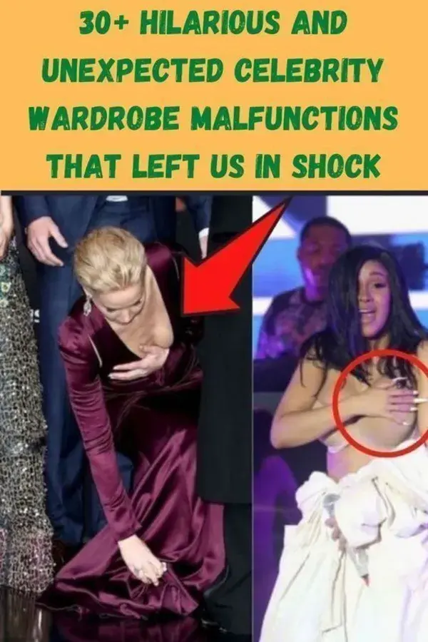 30+ Hilarious And Unexpected Celebrity Wardrobe Malfunctions That Left Us In Shock