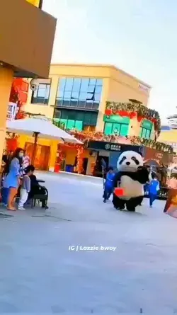 funny 😁 😂 panda 🐼-Subscribe Our YouTube for funny Animals Videos