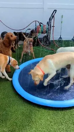 Non-Slip Splash Pad for Kids and Dogs