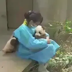 Caring Pandas