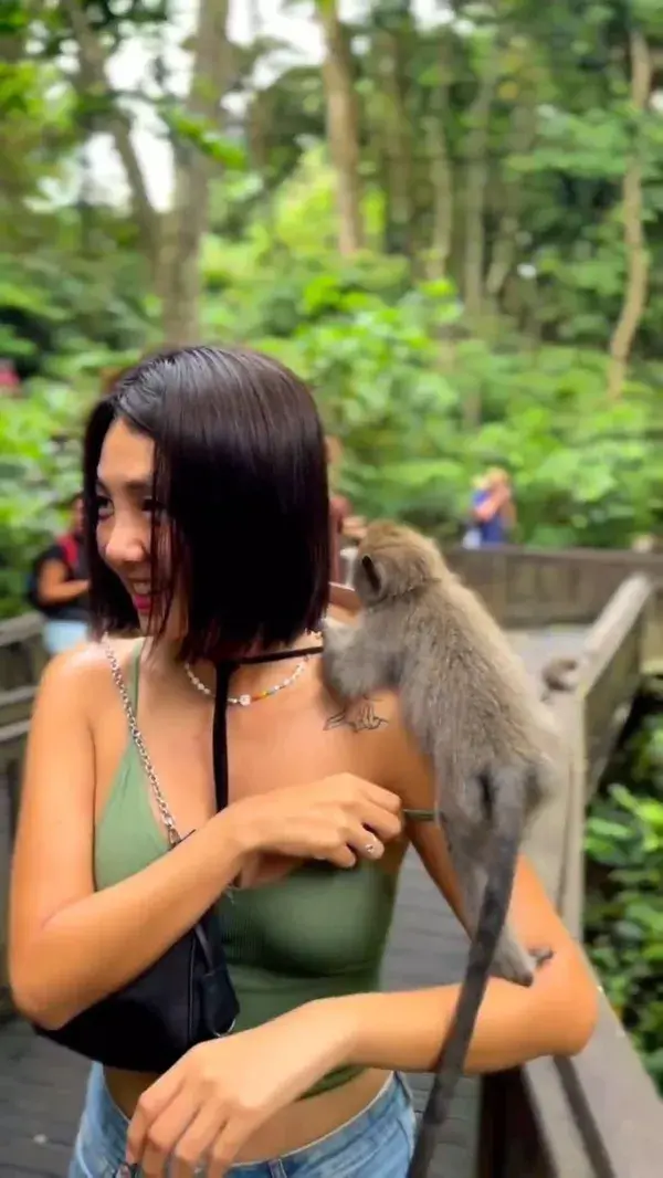 Always be on alert when you visit the monkey forest, they are cheeky ones