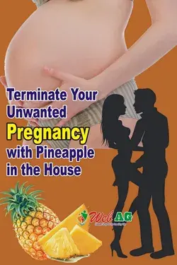 Terminate Your Unwanted Pregnancy with Pineapple in the House - Natural Abortion Methods