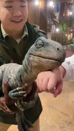 Baby Raptor in Universal Studios