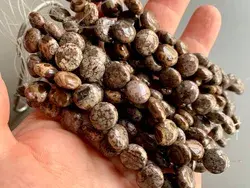 Beautiful patterns in these brown jasper beads!