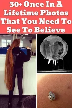 30+ Once In A Lifetime Photos That You Need To See To Believe