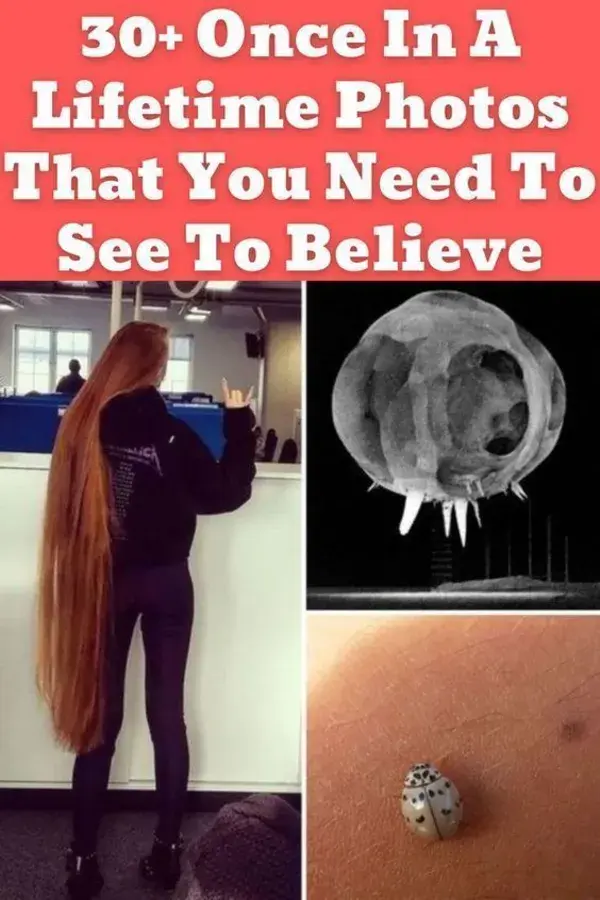 30+ Once In A Lifetime Photos That You Need To See To Believe