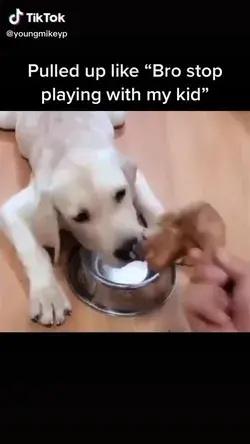 Stop playing with my kid!