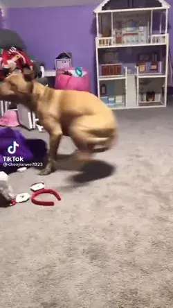 Spinning dog