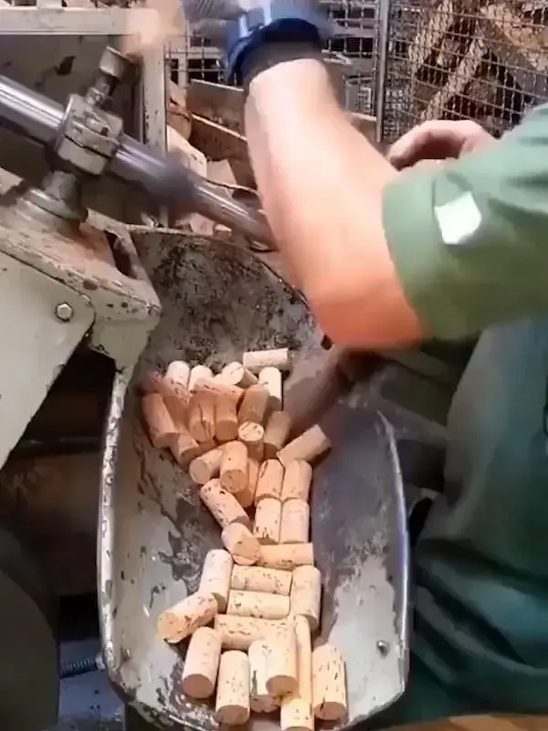 Street vendor Making Appe on Street