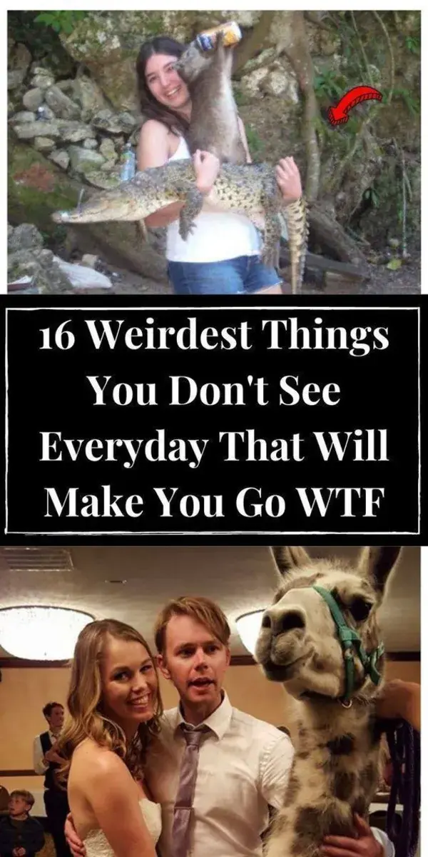 16 Weirdest Things You Don't See Everyday That Will Make You Go WTF