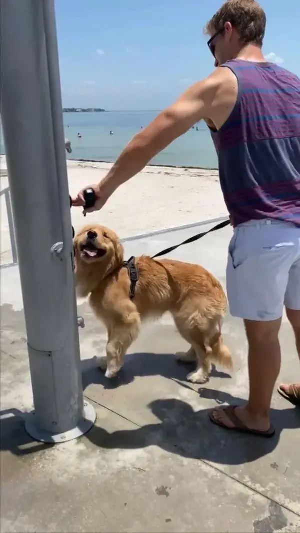 It’s hekkin hots out there frens, make sure to keeps hydrated and stay cool like dis