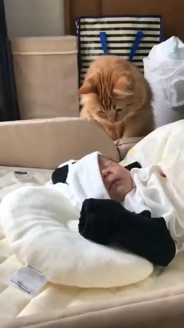 sleeping the baby