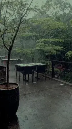 a lovely scene of rain ☔🌧️