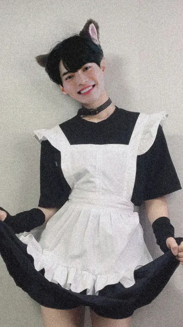 Maid win metawin