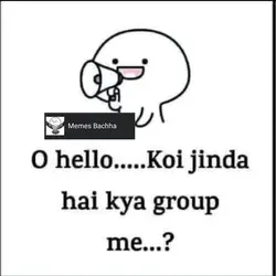 Koi jinda hai kya group me ? | memes bachha