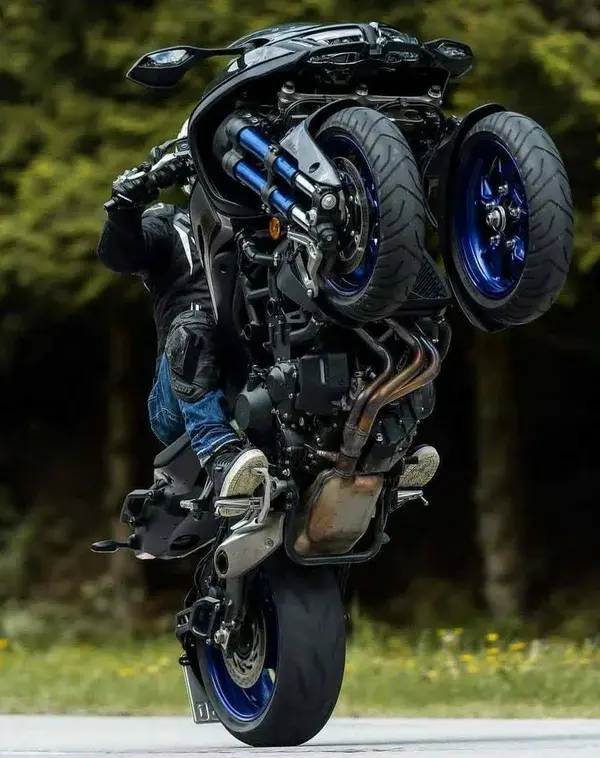 BMW S1000R: Adaptive Electronics: