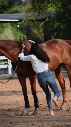 Beauty of horses