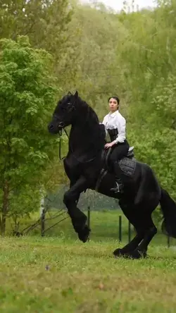 Beautiful girl takes a horse ride #horse #horseride #beautifulgirl