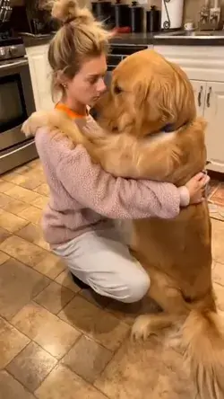 Hug