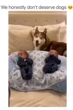 The Dog is the Mom now♥️