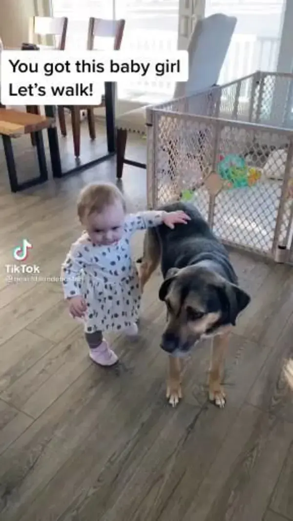 Learning to walk with a little help
from a friend