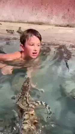 Copil fara frica curajos intra intre crocodili