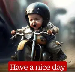 Have a nice day