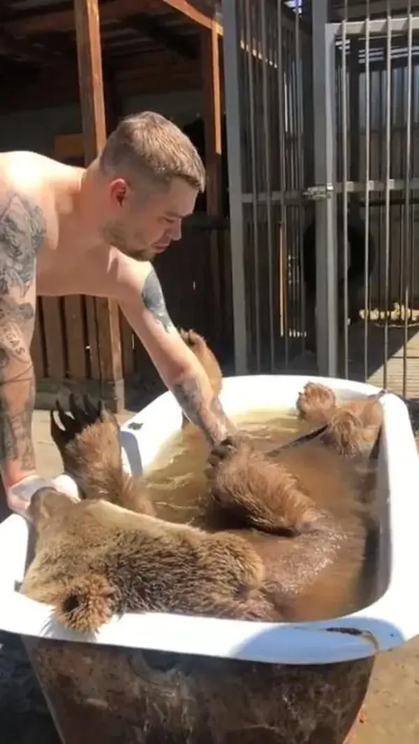 Bear Bath Time....