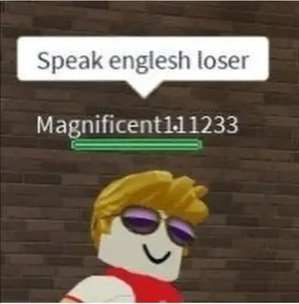 ur average Roblox player