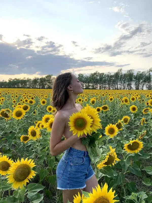 Фото в подсолнухах