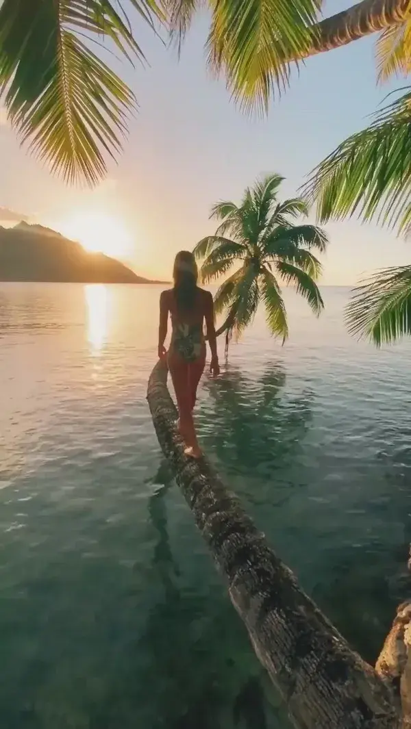 Walk Into Paradise 🏖️